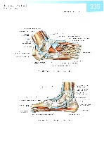 Sobotta  Atlas of Human Anatomy  Trunk, Viscera,Lower Limb Volume2 2006, page 342